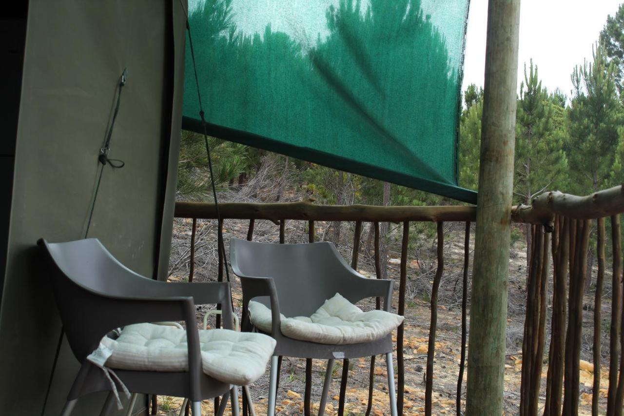 Otium Oasis Glamping & Camping Hartebeesrivier Exteriör bild