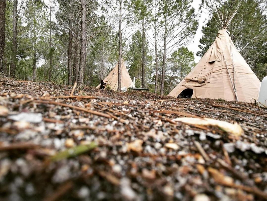 Otium Oasis Glamping & Camping Hartebeesrivier Exteriör bild